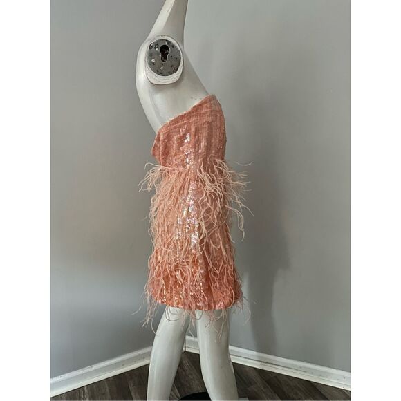 NWT Retrofete ANASTASIA SEQUIN FEATHER DRESS SIZE M $798 - Picture 8 of 11